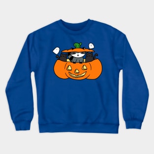 Halloween Black Cats and Raccoon Crewneck Sweatshirt